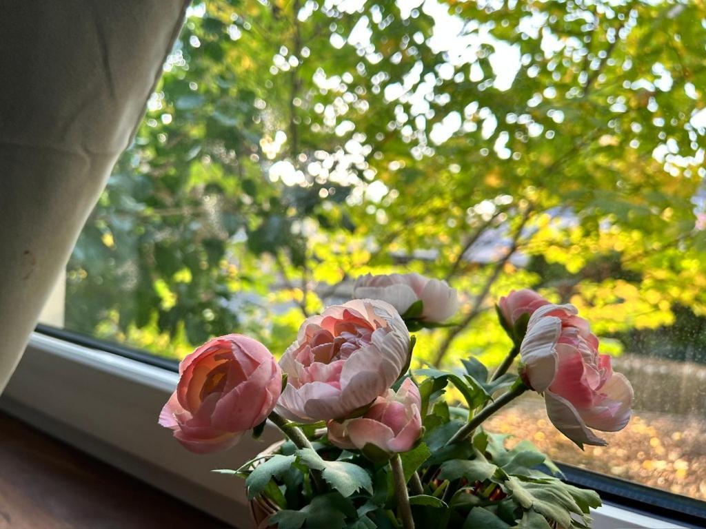 Apartmán Prime Near Schoenbrunn Castle *